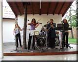 The Show