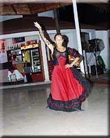 The Show