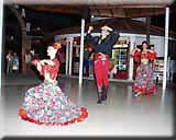 The Show
